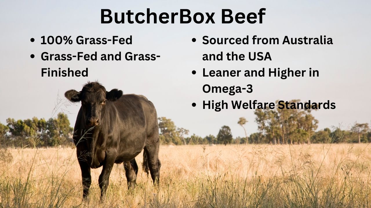 Butcher Box Review: Is it worth it for keto? – Sturdy Woman